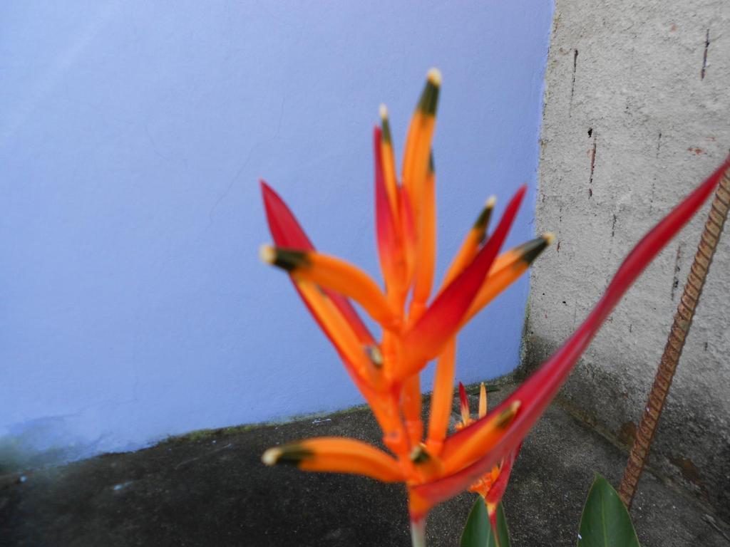 Namaste Hostel E Pousada Paraty ปาราตี ภายนอก รูปภาพ